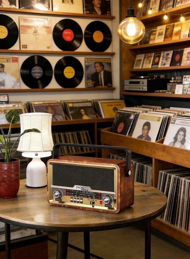 EVCHE Bluetooth Portable Radio with Remote Control All-in-One FM/AM/SW Receiver USB/TF Card MP3 Player AUX Input Rechargeable Battery - Image 1